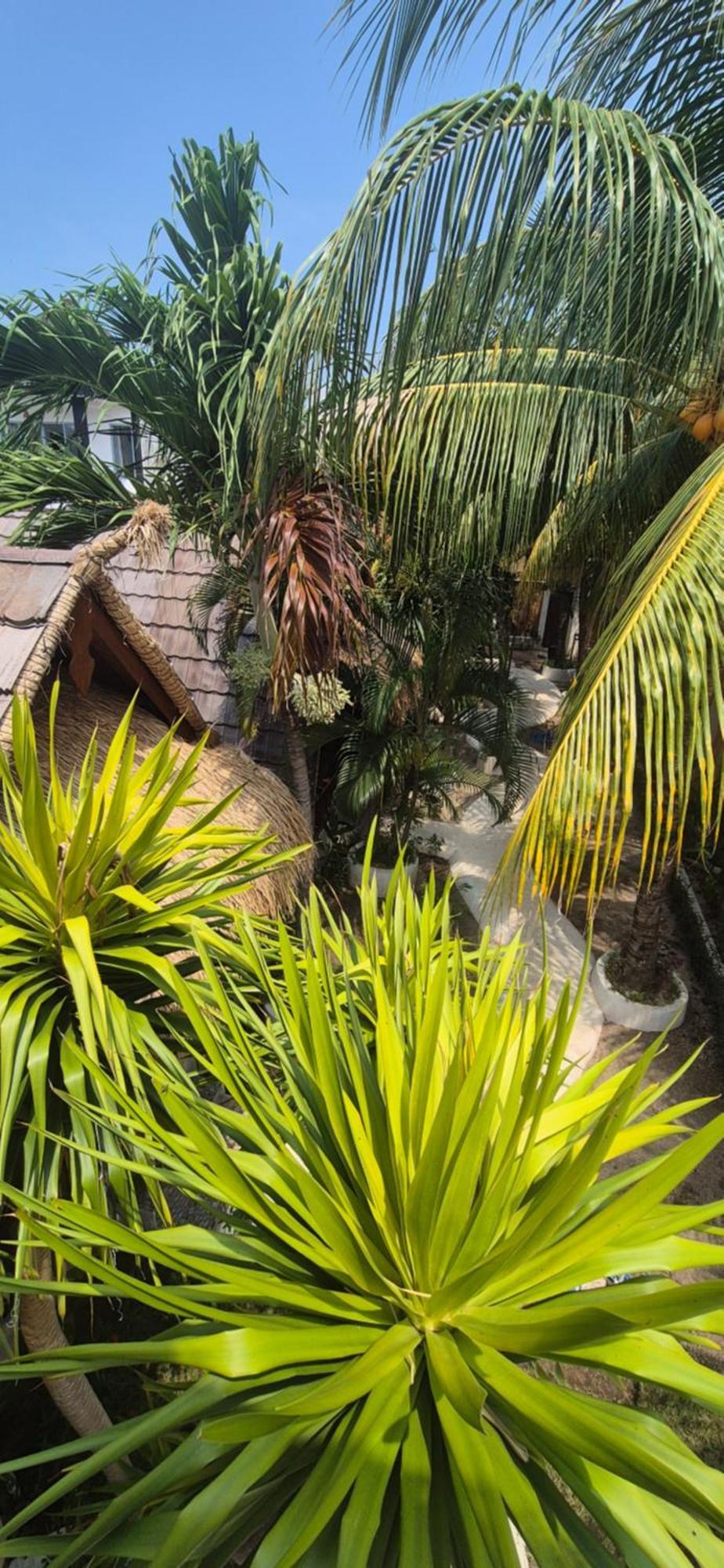 Tricky Trees Sunset Bungalows Gili Air Exterior photo